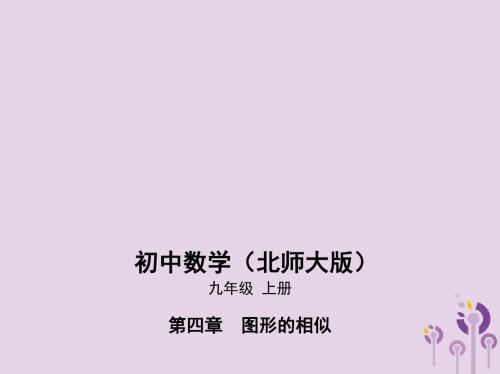 2019秋九年级数学上册第4章图形的相似4.1成比例线段课件(新版)北师大版