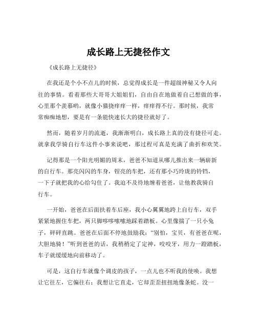 成长路上无捷径作文