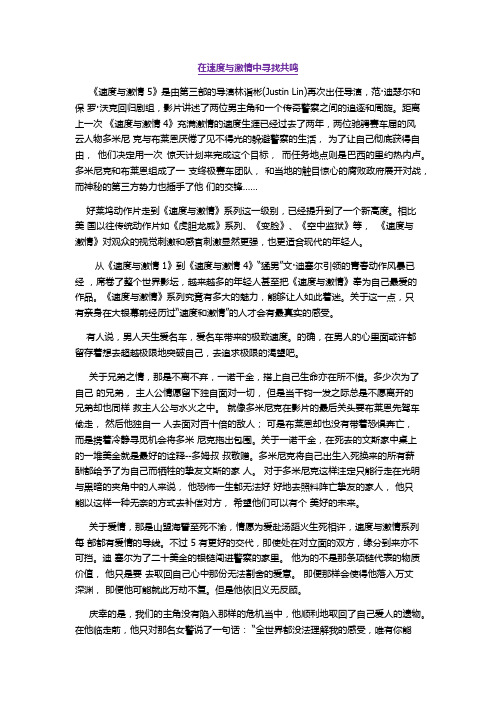 速度与激情5影评