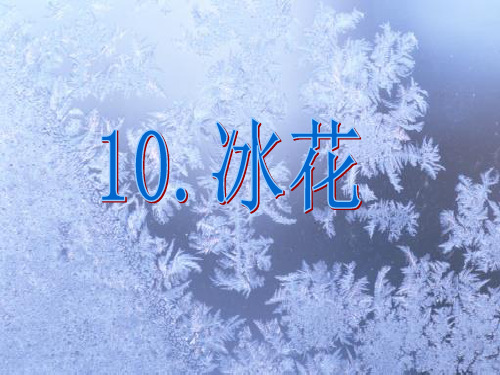 苏教版一年级语文上册《冰花》课件