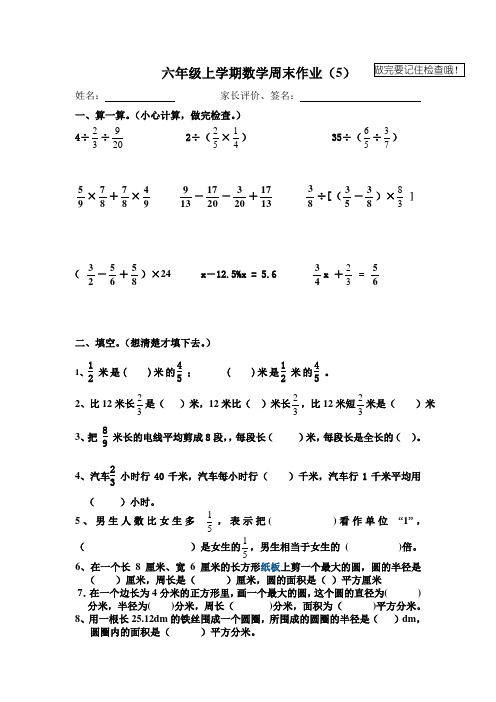 六年级数学周周末作业(5