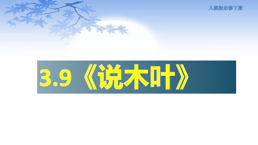 部编版《说“木叶”》优秀课件1