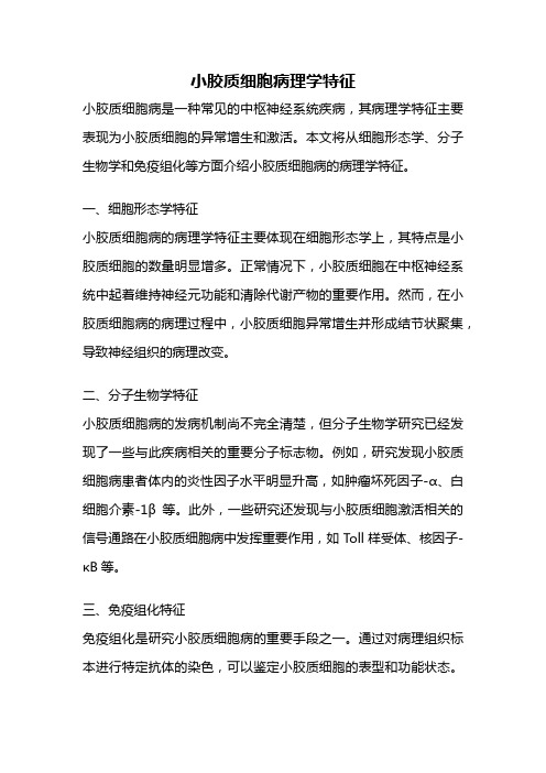 小胶质细胞病理学特征