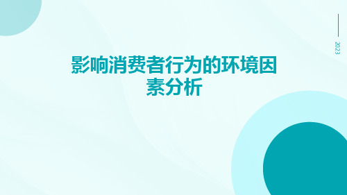 影响消费者行为的环境因素分析