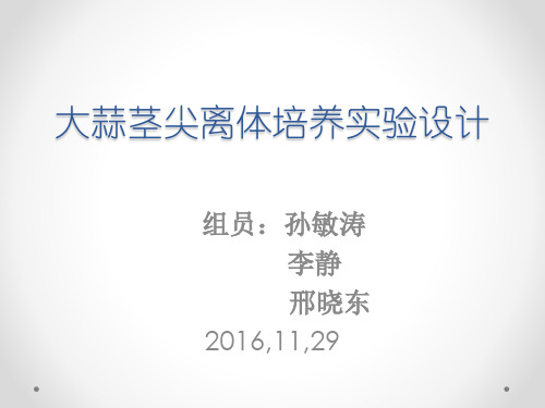 大蒜茎尖离体培养实验设计
