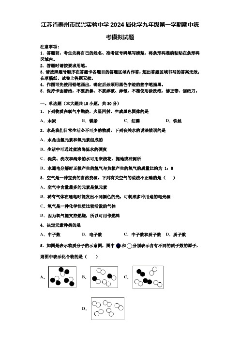 江苏省泰州市民兴实验中学2024届化学九年级第一学期期中统考模拟试题含答案解析