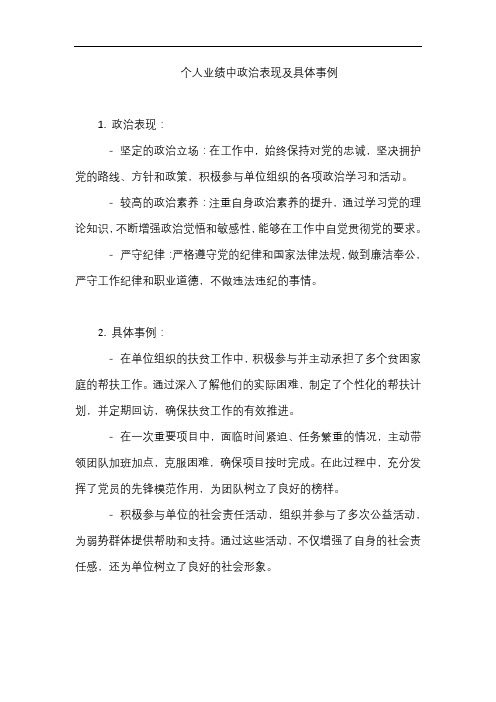 个人业绩中政治表现及具体事例