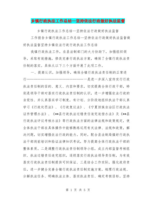 乡镇行政执法工作总结—坚持依法行政做好执法监督