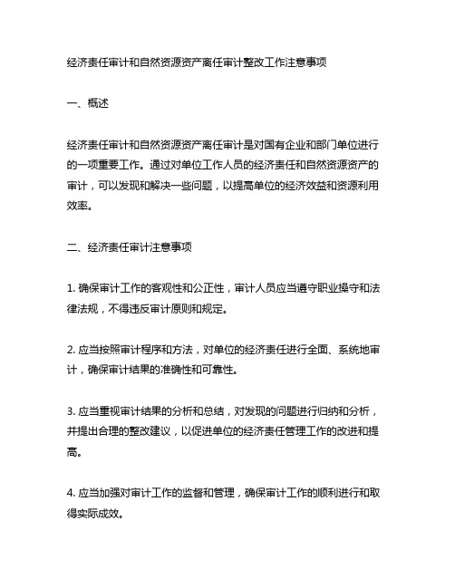 经济责任审计和自然资源资产离任审计整改工作注意事项