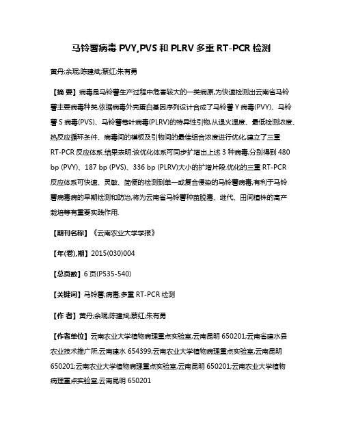 马铃薯病毒PVY,PVS和PLRV多重RT-PCR检测