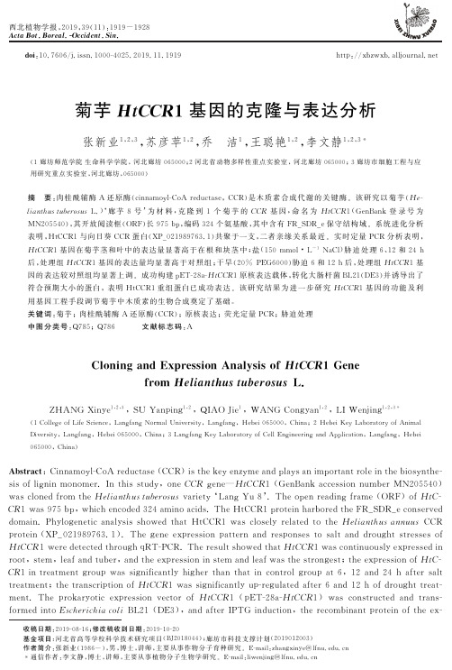 菊芋htccr1基因的克隆与表达分析