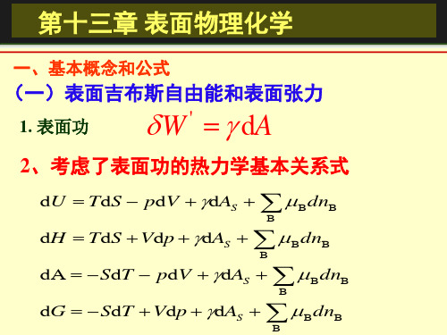 第十三章 表面物理化学