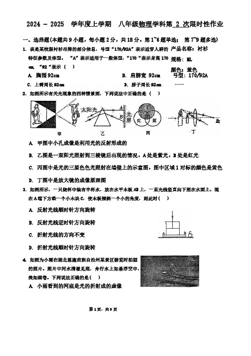 辽宁省沈阳市南昌中学2024-2025学年八年级上学期期中物理试卷(含答案)