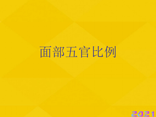 面部五官比例优秀文档