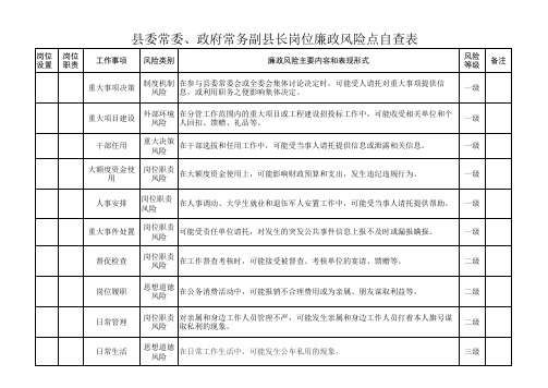 县委常委、政府常务副县长风险点自查表