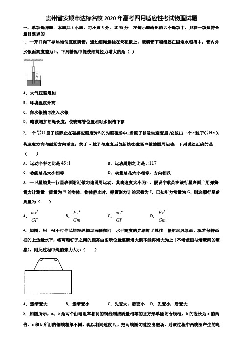 贵州省安顺市达标名校2020年高考四月适应性考试物理试题含解析