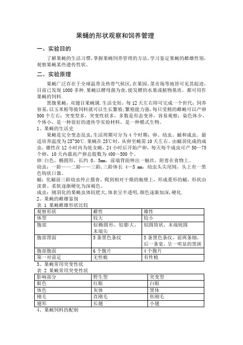 果蝇形态观察实验报告