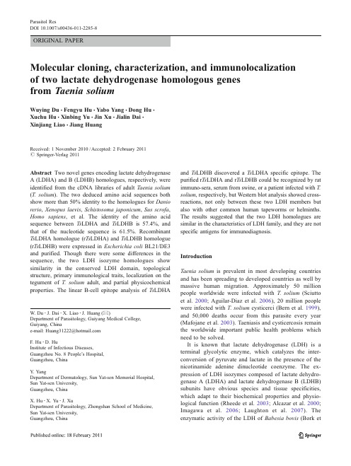 Molecular cloning, characterization, and immunolocalization of two lactate dehydrogenase homologous