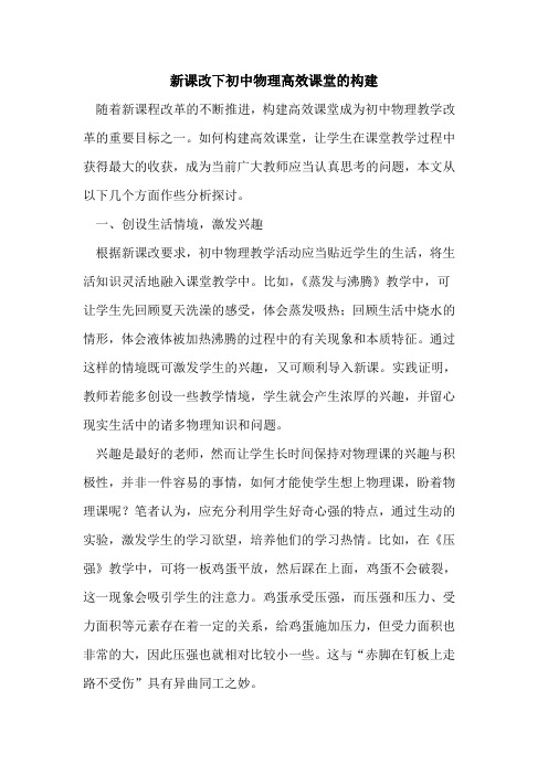 新课改下初中物理高效课堂的构建