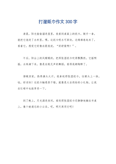 打湿纸巾作文300字