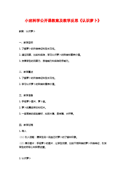 小班科学公开课教案及教学反思《认识萝卜》