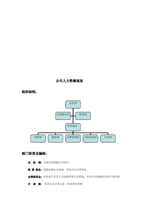 投资公司人力资源规划