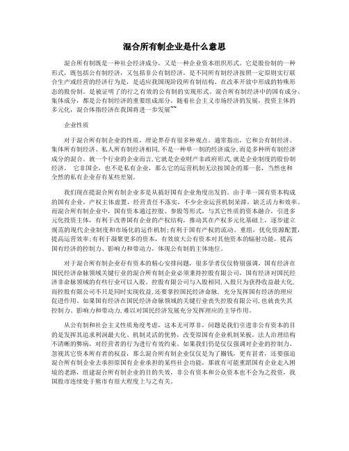 混合所有制企业是什么意思