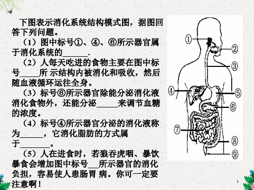  合理膳食与食品安全(共46张PPT)