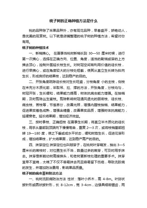 桃子树的正确种植方法是什么