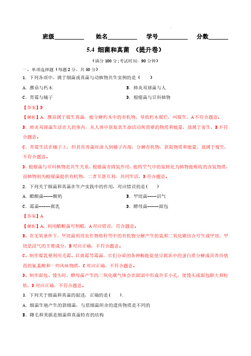 2022-2023学年八年级生物上学期同步测试卷5.4细菌和真菌(提升卷)(人教版)(解析版)-