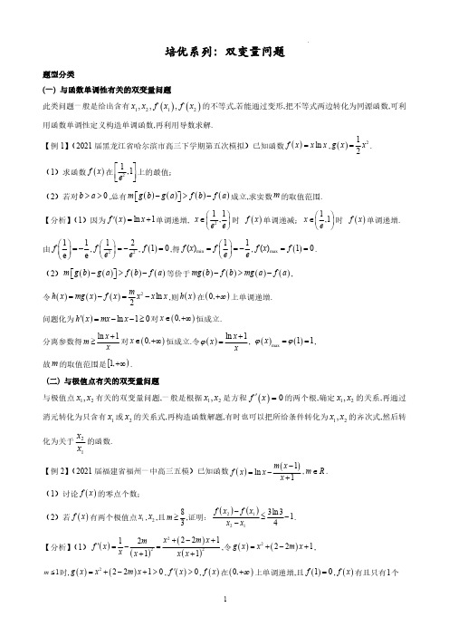 高考数学《双变量问题 (解析版)》