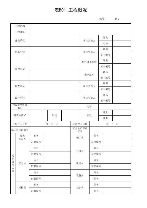 工程概况表格样式