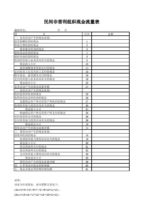 民间非营利组织财务报表格式