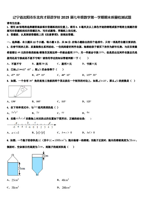 辽宁省沈阳市东北育才双语学校2025届七年级数学第一学期期末质量检测试题含解析