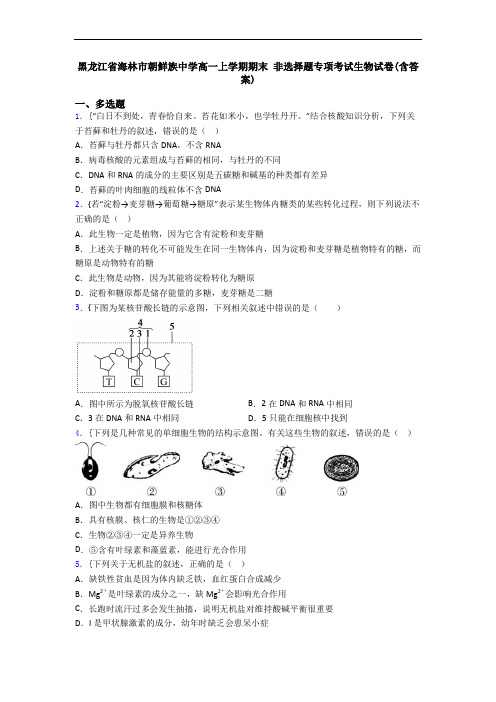 黑龙江省海林市朝鲜族中学高一上学期期末 非选择题专项考试生物试卷(含答案)