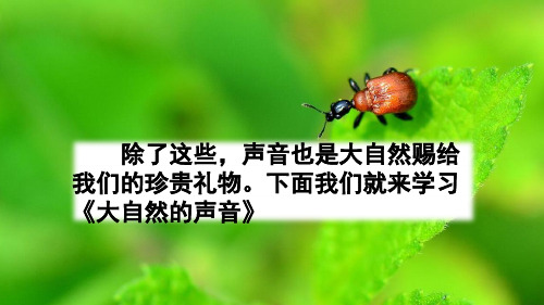 部编版三年级语文上获奖课件--21 大自然的声音