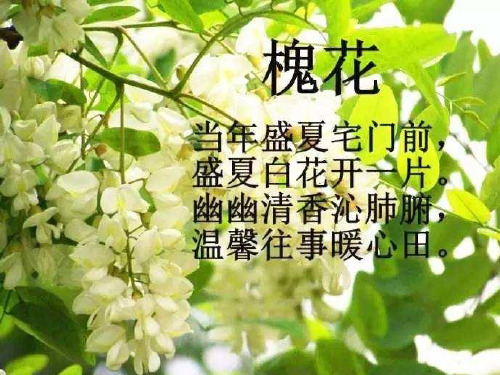 局部概括