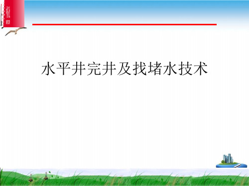 水平井完井及找堵水技术PPT培训课件