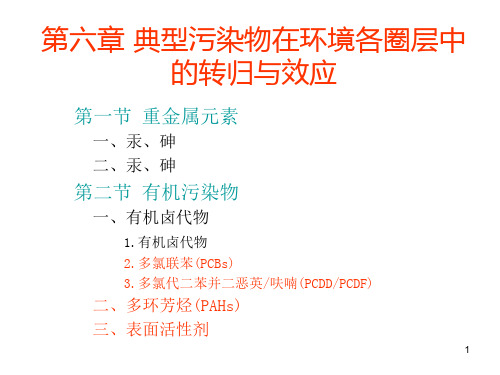 典型污染物在环境各圈层中的转归与效应课件