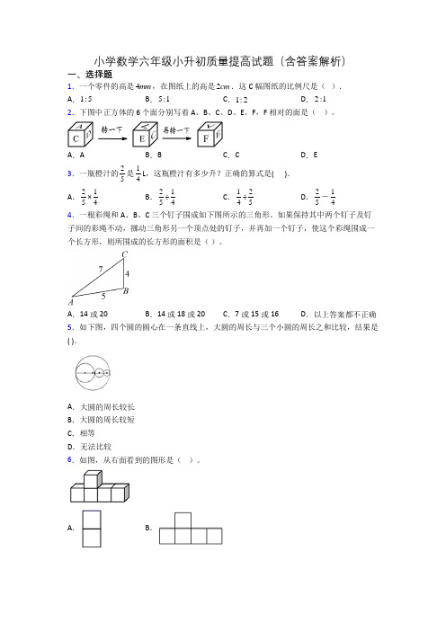 小学数学六年级小升初质量提高试题(含答案解析)