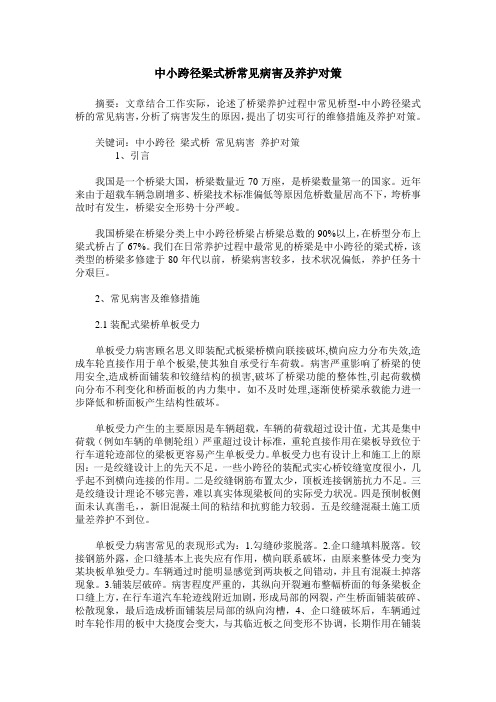 中小跨径梁式桥常见病害及养护对策