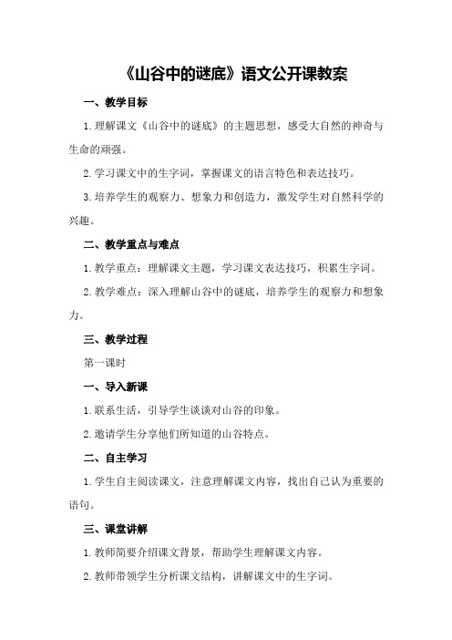 《山谷中的谜底》语文公开课教案