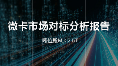 2020年微卡目标市场对标分析报告