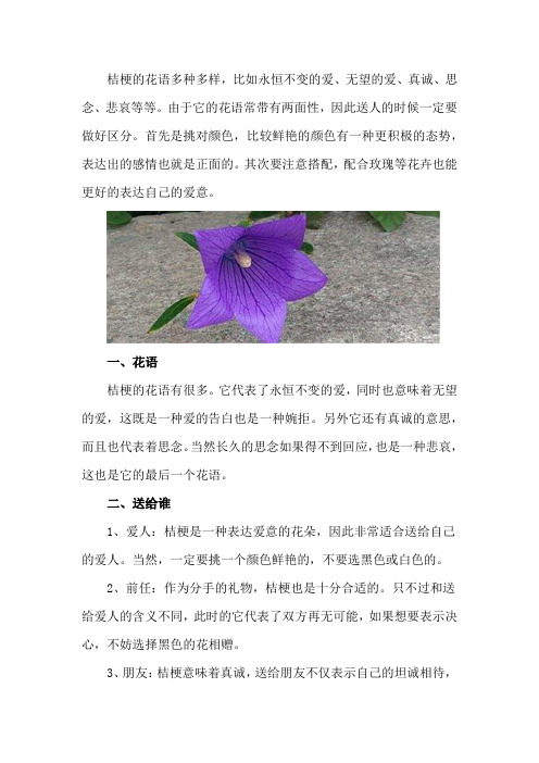 桔梗花语,桔梗的图片