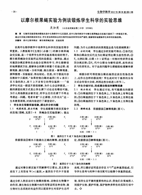 以摩尔根果蝇实验为例谈锻炼学生科学的实验思维