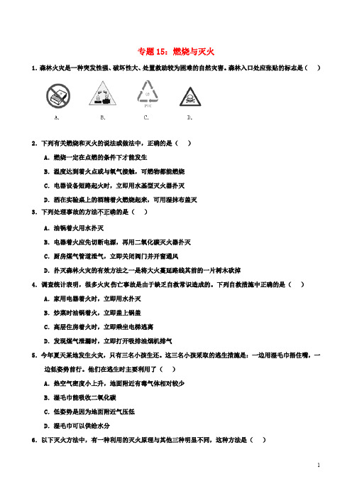 初三化学复习专题15 燃烧与灭火(含解析)修改