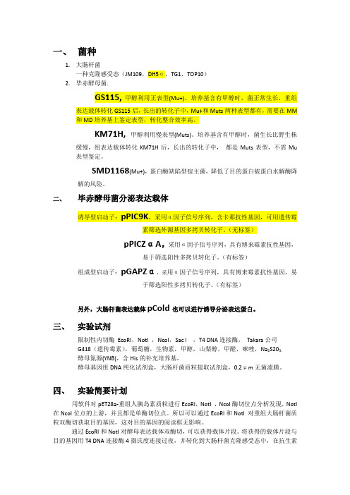 酵母表达系统所需实验材料