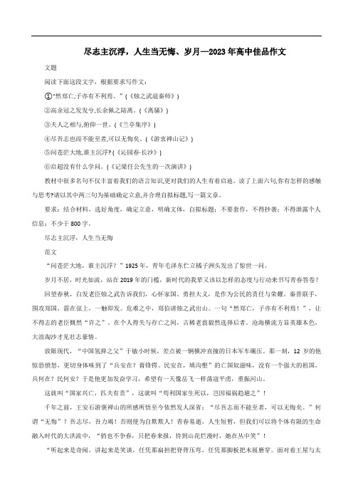 高考语文作文冲满分必背标杆范文专题11尽志主沉浮,人生当无悔、岁月