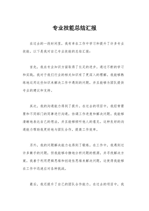 专业技能总结汇报