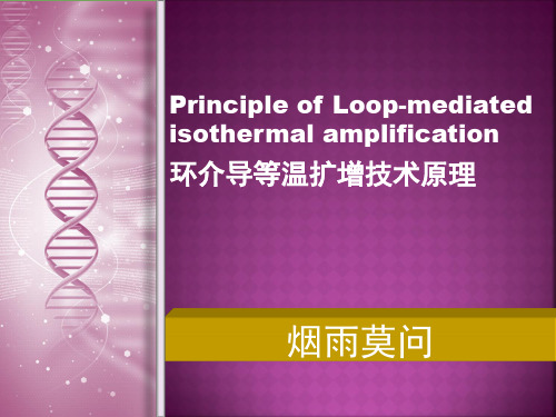 (完整)环介导等温扩增技术原理精品PPT资料精品PPT资料